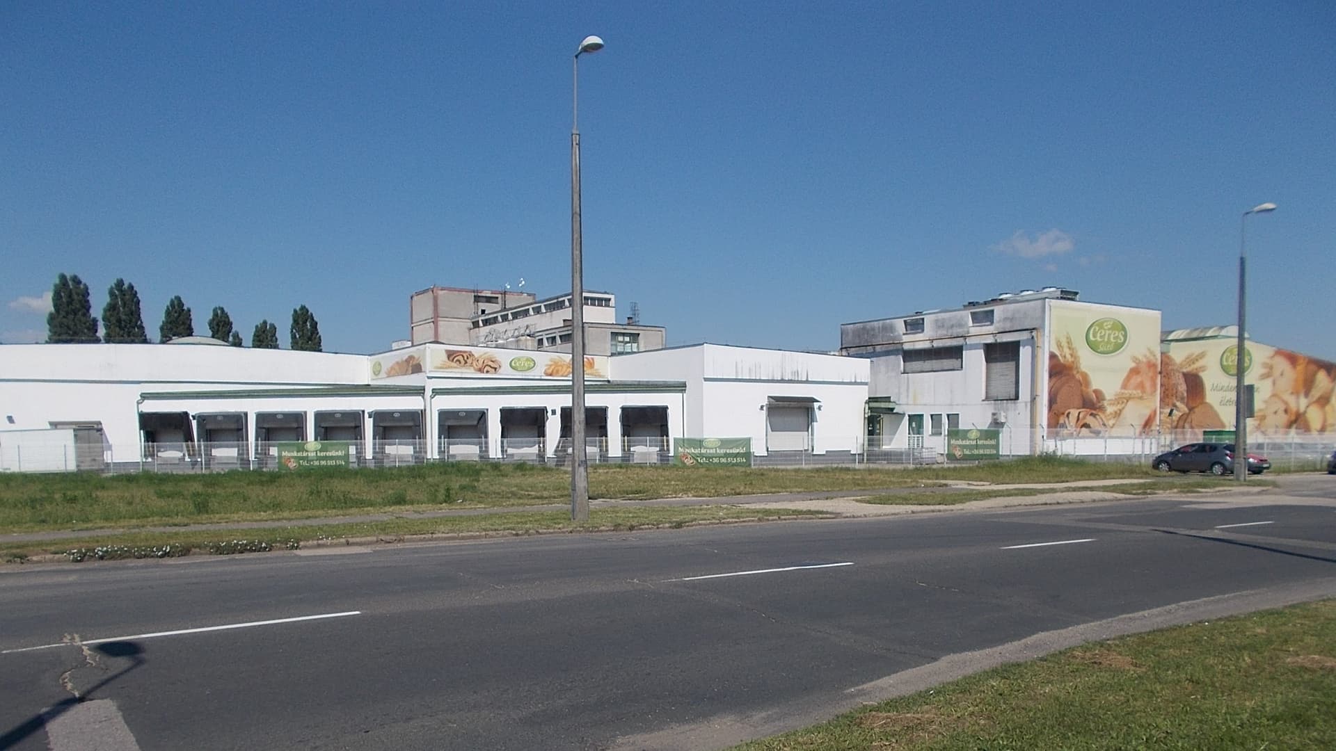 Industrial food processing support